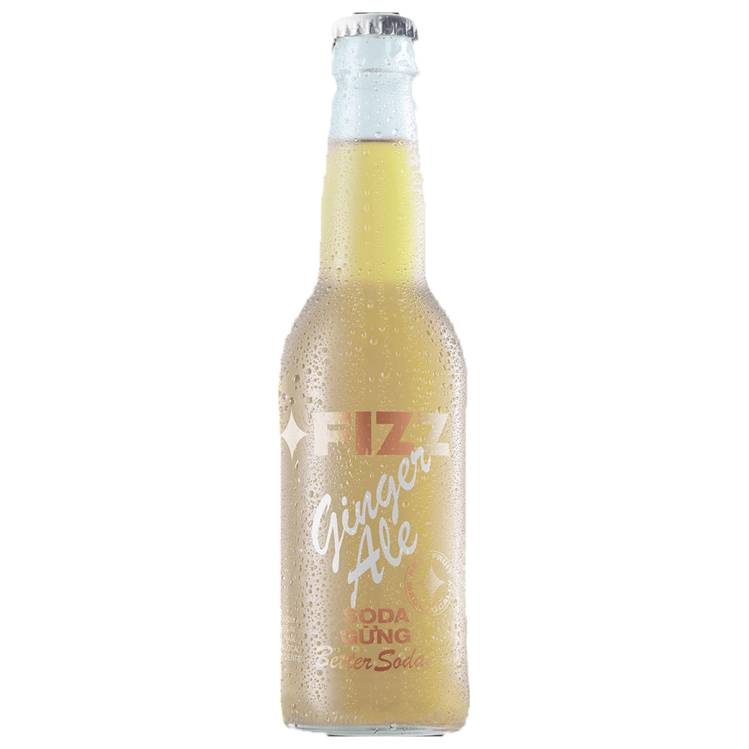 Fizz Ginger Ale Soda